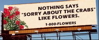 sorryflowers.jpg